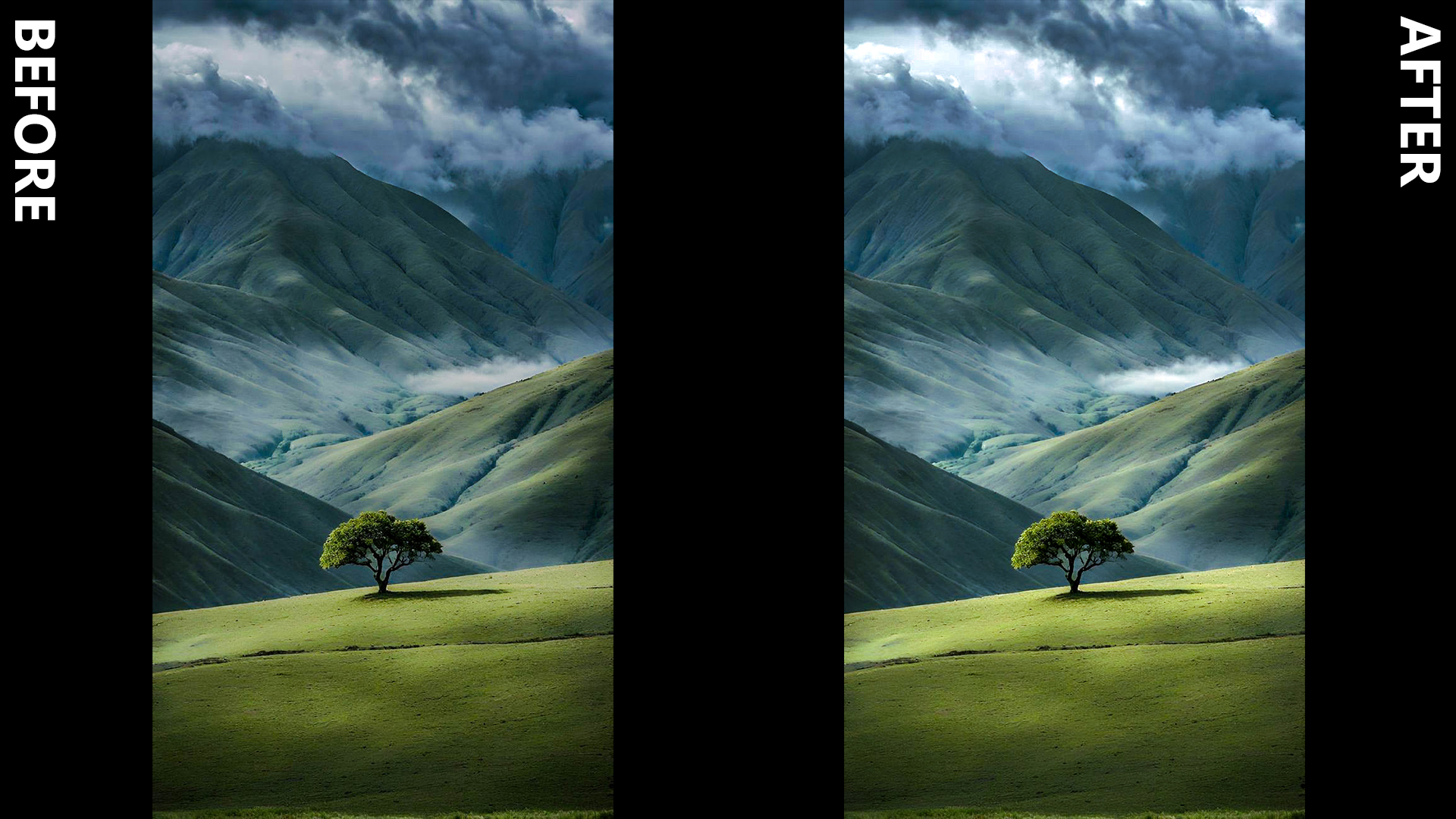 Lightroom Project 4