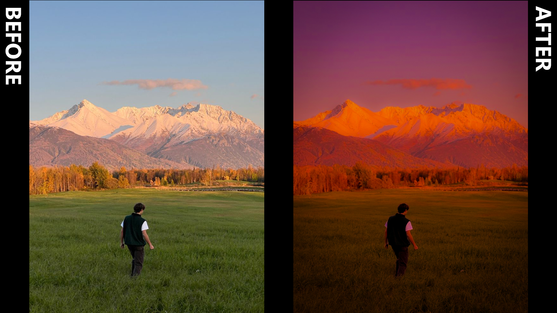 Lightroom Project 5