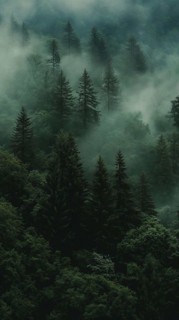 Background Image 2