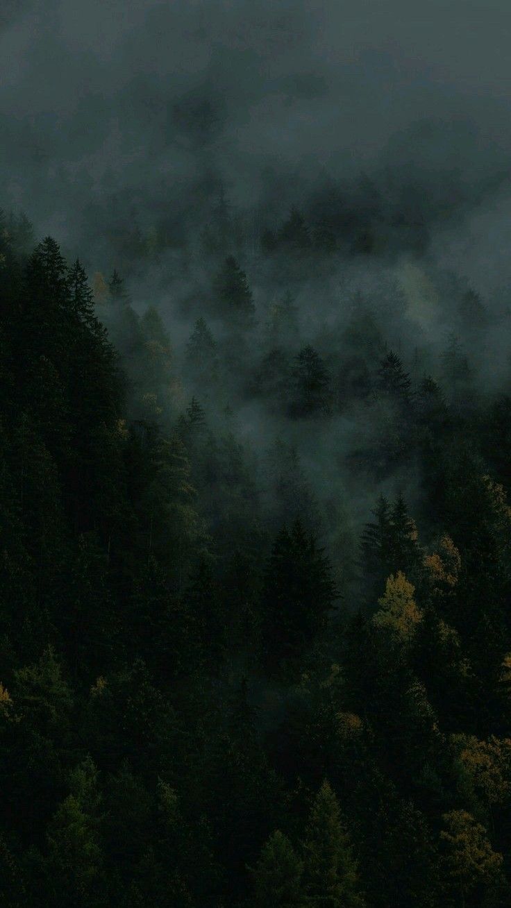 Background Image 3