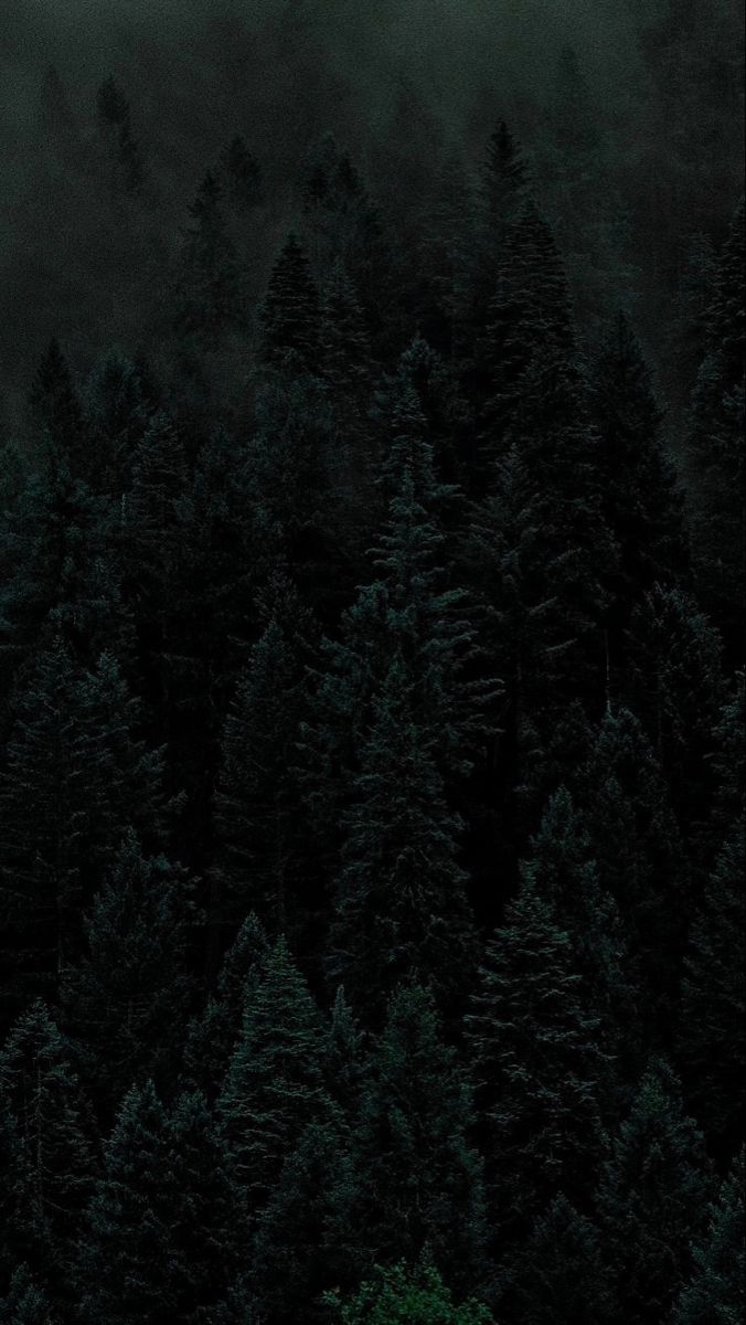 Background Image 1