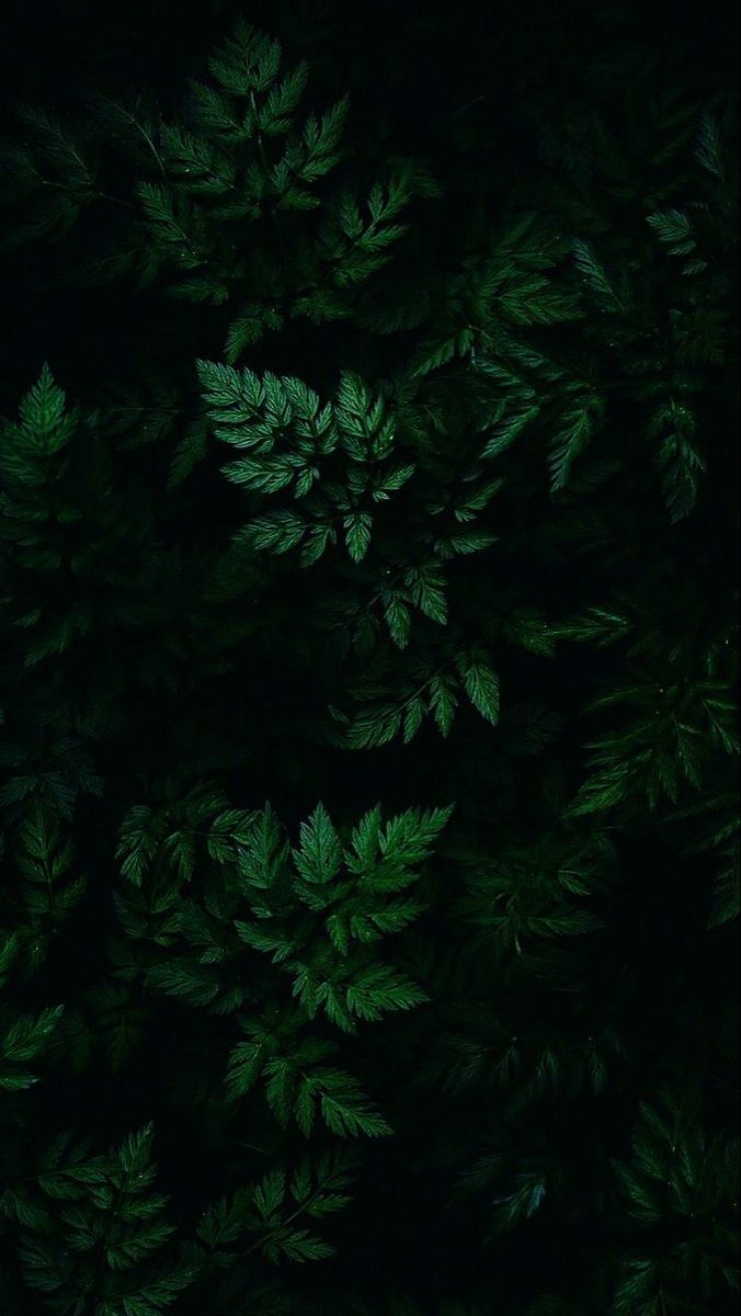 Background Image 3